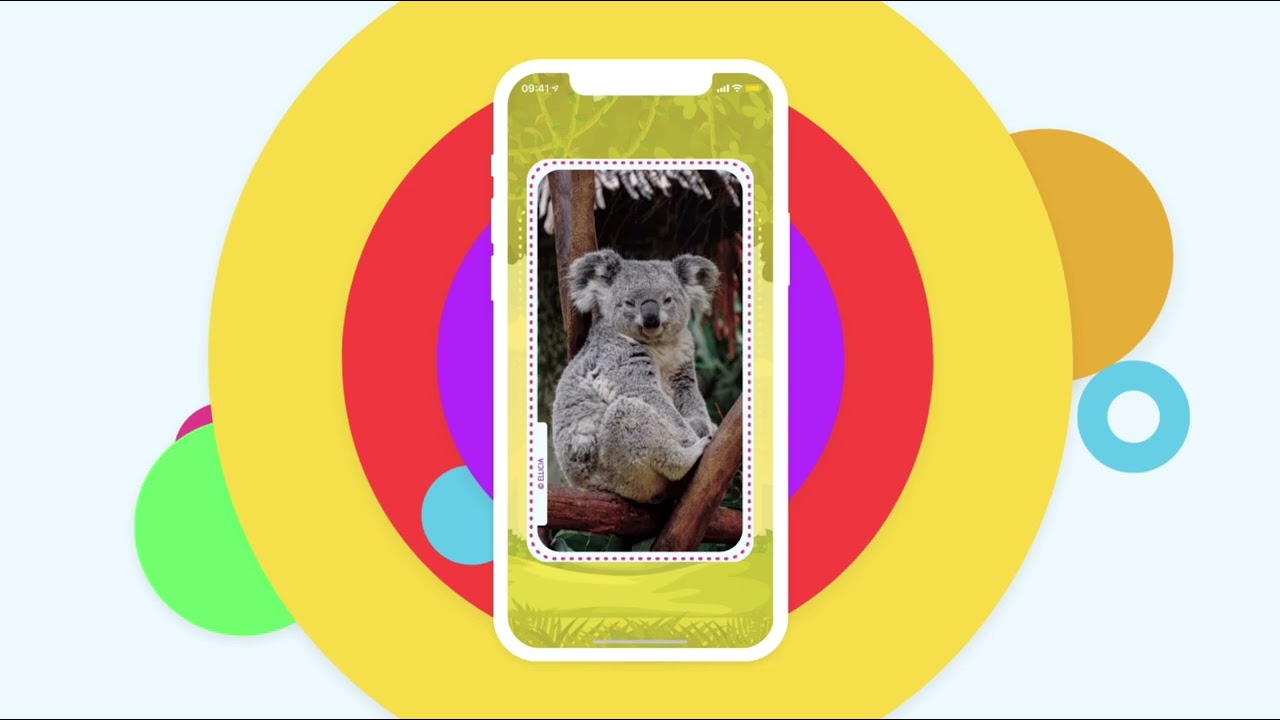 100 Animals launch video