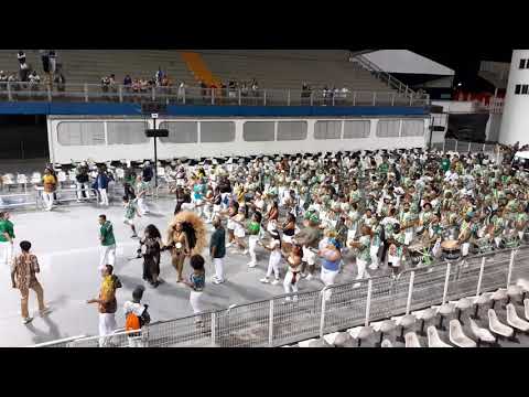 Camisa Verde e Branco 2020 Ensaio técnico