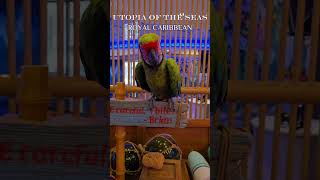 Is Utopia Of The Seas The Ultimate Cruise Experience?