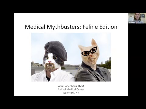 Medical Mythbusters: Feline Edition