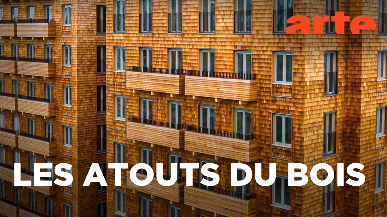 Du bois au bambou | Matériaux d’hier et de demain | ARTE