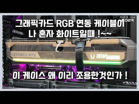 조텍 RTX 5090 조립하는 날! | 안텍 플럭스 프로 빅타워 케이스 자랑 하던데 이래서 군요