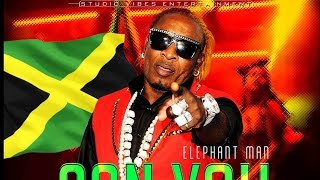 Elephant Man - Can You Do It - January 2015