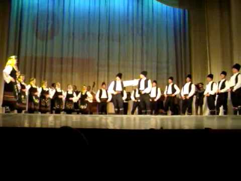 Temisvar 14.Evropska Smotra -KUD BORAC SOLINGEN NEMACKA