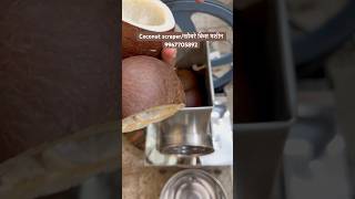 Coconut Scraper Machine Small Model 🥥 | Electric Khobra Kis Machine Demo