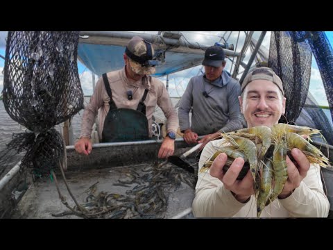 Making a Living on a Commercial SHRIMP Boat | Lafitte, Louisiana