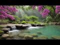 The Hidden Oasis | #Relaxation | #Meditation