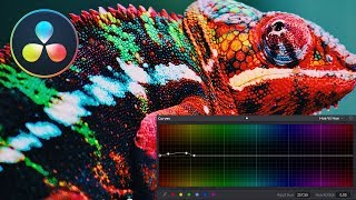 Using Curves and Vs Curves In DaVinci Resolve 15