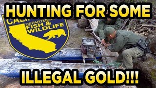 Jimbos Gold 1lb Illegal California Dredge Concentrates Gold Paydirt Review (JimbosGold.com)