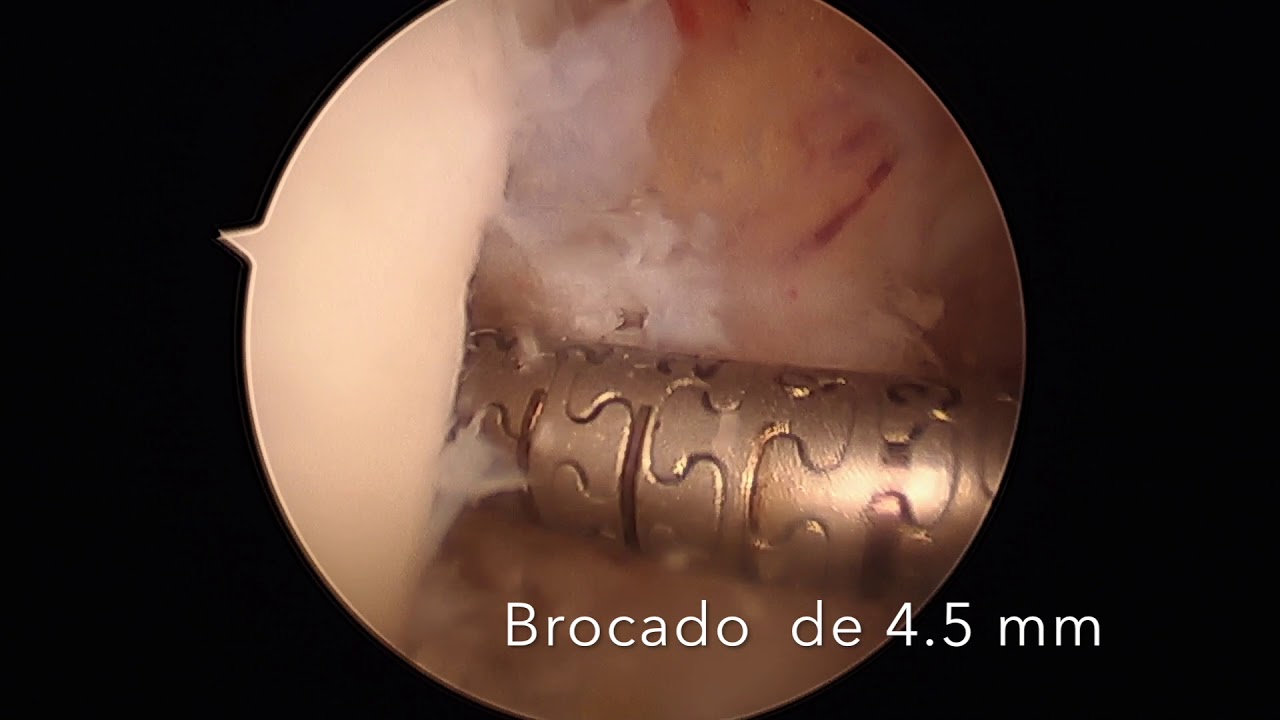 David Gómez Garrido-2