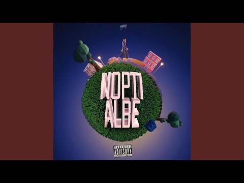 Nopti Albe (feat. NDG & SECHO)
