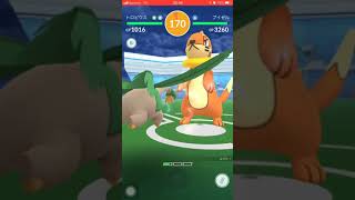 ブイゼル ポケットモンスター ゴチム ワルビル ハギギシリ ブイゼル ポケットモンスター ゴチム ワルビル ハギギシリ