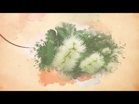 Biệt thự biển Angsana Hồ Tràm giá từ 23 tỷ/căn (full nội thất), vietin bank htrợ