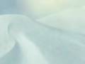 Ice Age 3 Ice Age 3 3gp