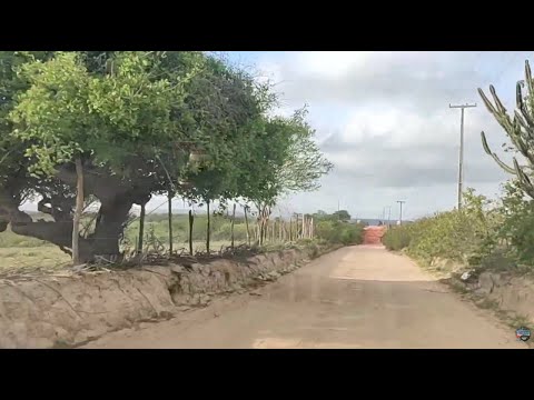 Nas estradas  do sertão indo para a Serra Inácio em Curral Novo do Piauí