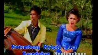 Download lagu JAIPONG - DAUN PULUS 16 mp3