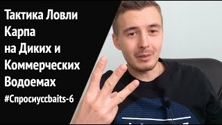 Ловля карпа на коммерческих водоемах