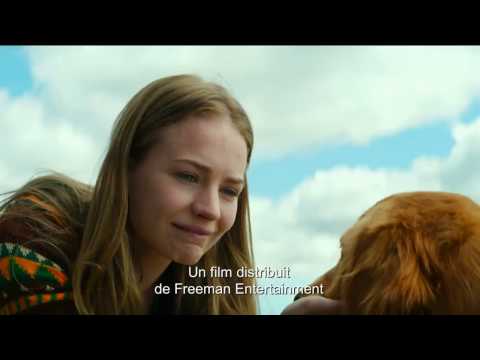 download lagu mp3 mp4 Cainele Adevaratul Meu Prieten, download lagu Cainele Adevaratul Meu Prieten gratis, unduh video klip Cainele Adevaratul Meu Prieten