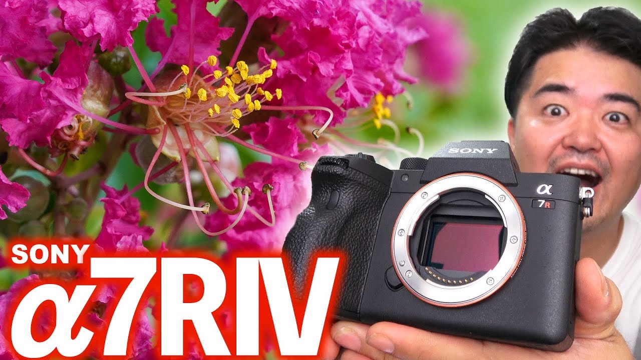 レンタル - SONY(ソニー)α7R IV ILCE-7RM4 ボディ | カメラと レンタル - SONY(ソニー)α7R IV ILCE-7RM4 ボディ | カメラと