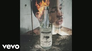 JoeyStarr - Chaque seconde (Audio)