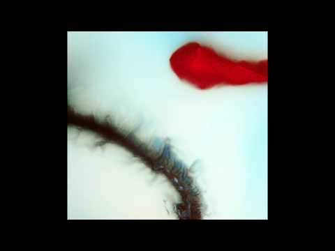 Stubborn Heart - Need Someone