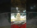 Vel Valipadu Kandha Sasti Veratham Uppu Dheebam Valipadu 16 08 2021