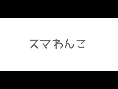 すまわんこ（４杯目）