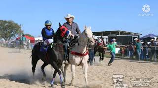 LA COQUETA(historias de carril)