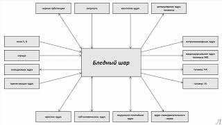11.3 Подробное разъяснение. Бледный шар