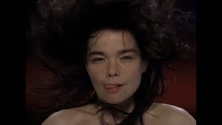 Björk-Hidden Place(Türkçe Çeviri)