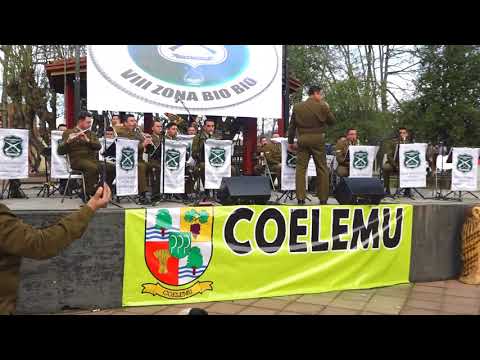 Banda Instrumental VIII Zona de Carabineros Bio Bio Mix Mexicano