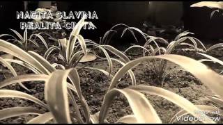 Nagita Slavina - Realita Cinta ( Video Lirik )