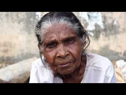 Outstanding Image Quality | OM-D E-M1 Mark II | Olympus