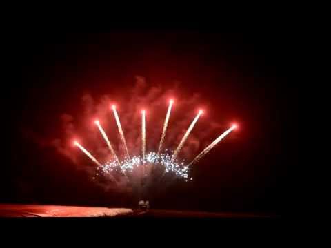 R13074 19 shots brocade crown tail with silver strobe mine (Z) 1,2"