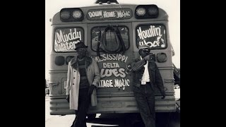Muddy Waters - Missisipi delta blues
