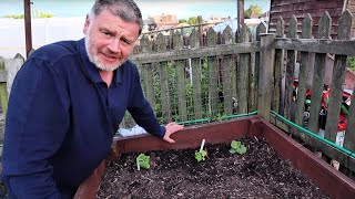 What Worked In The Garden And What Didn&#39;t Work