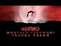 Warriyo Mortals Ft Laura Brehm Slowed