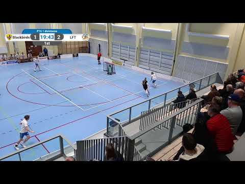 Blackbirds 08 - LFT 08 1. erä