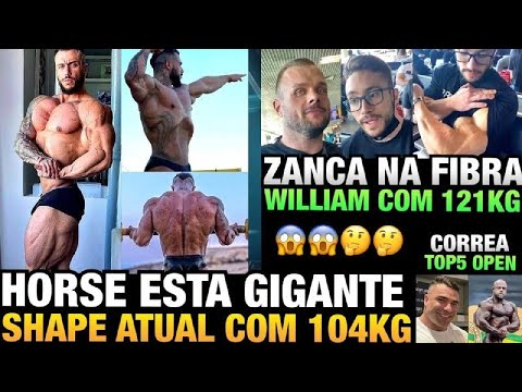 HORSE MOSTRA SHAPE ATUAL GIGANTE - ZANCA MUITO FIBRADO - CORREA ELENCA TOP 5 OPEN DO EXPO SHOW