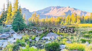 [シャスタライフ] パンサーメドウズ　これからのエネルギーの流れ