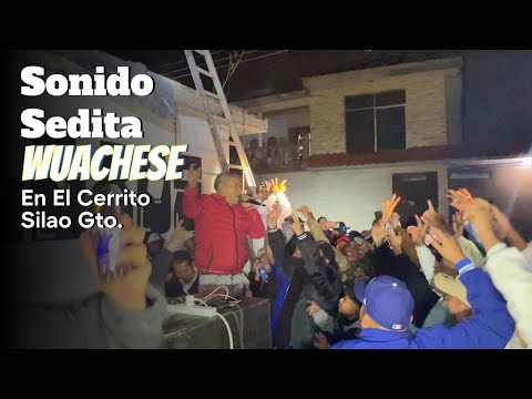 🔴The King of Wuachese has arrived after a long absence. SEDITA SOUND