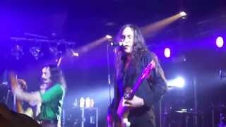 Afterhours - Questo pazzo pazzo mondo di tasse - Live