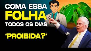A FOLHA que melhora seu INTESTINO e protege seu FÍGADO - Dr Lair Ribeiro
