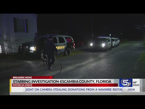 VIDEO: ECSO: Woman stabbed in fight over credit card at Escambia County mobile home park