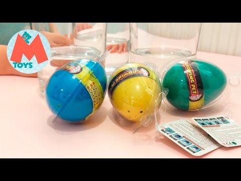 ❤ Растущее в воде яйца динозавра Growing Pet – Dinosaur Egg Обзор игрушек