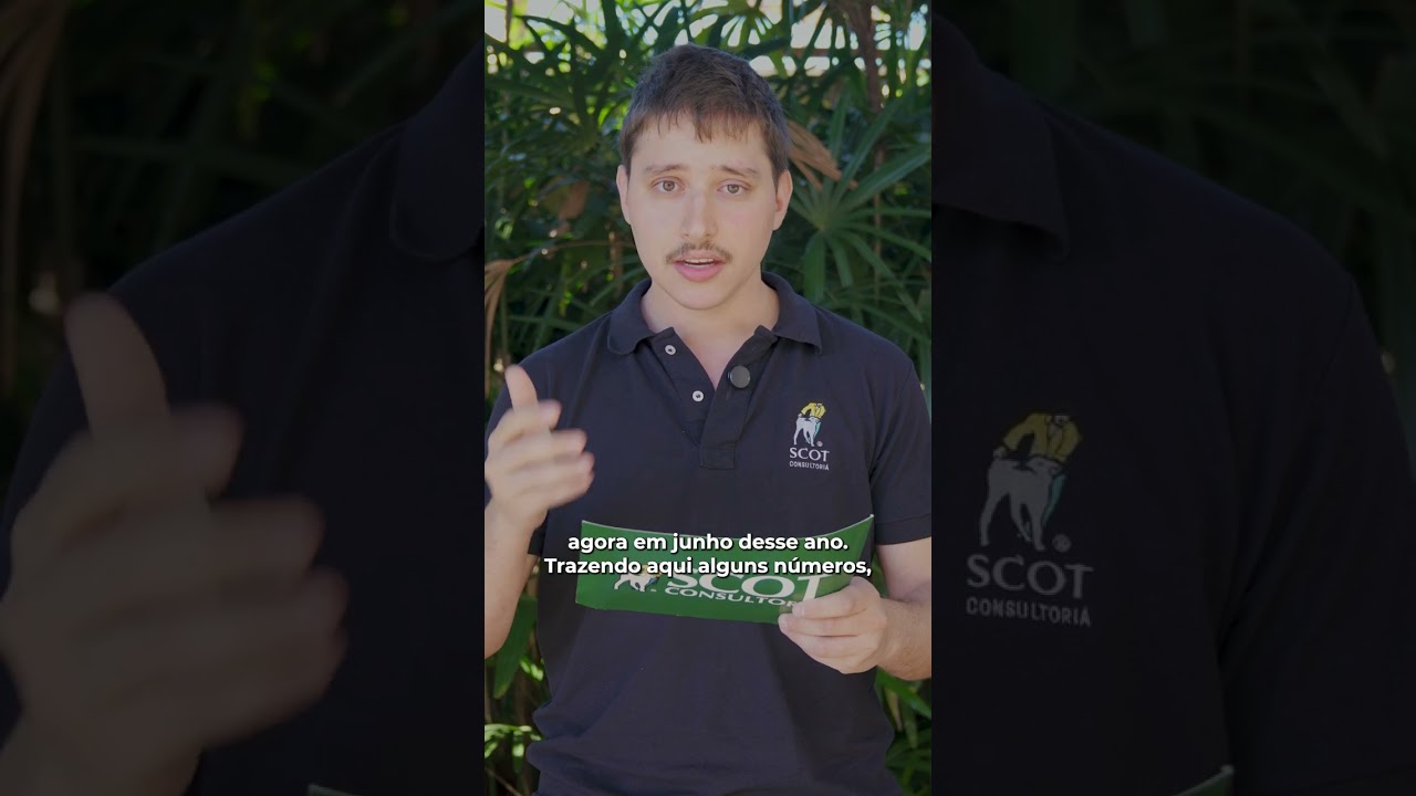 Relação de troca com o DDG piora para o pecuarista em Mato Grosso