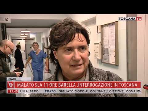 2017-11-20 TG MERIDIANO