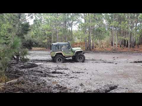 Thumbnail for willys v6 trilha de canela by Willys