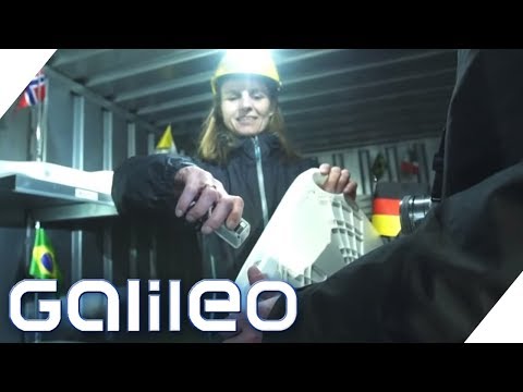 Kniegelenkersatz bei Arthrose Preis Was das Beste für das Knie Ultraschall oder Röntgen