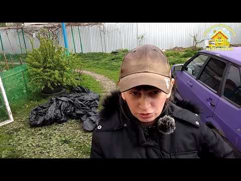 Сажаем цветочки. Шашлыки.